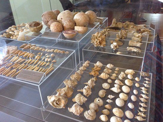 Muzeum Miejskie THALASSA